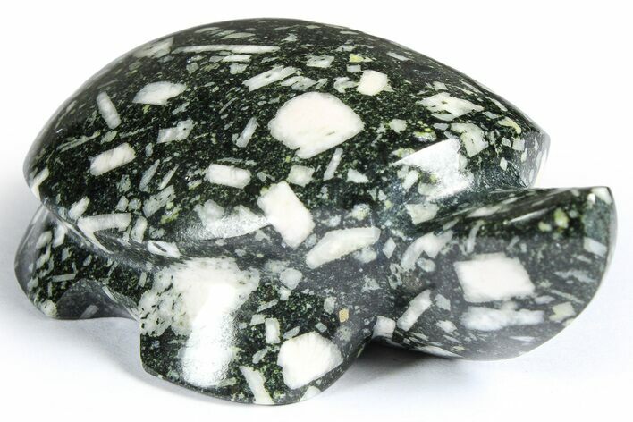 Polished Chinese Writing Rock Turtle - Alaska #366529